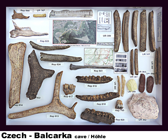 Prehistorie Balcarka