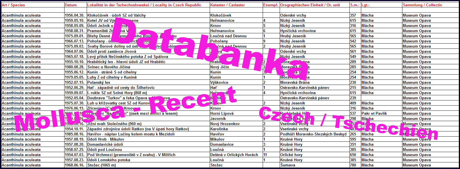 Icona Databanka