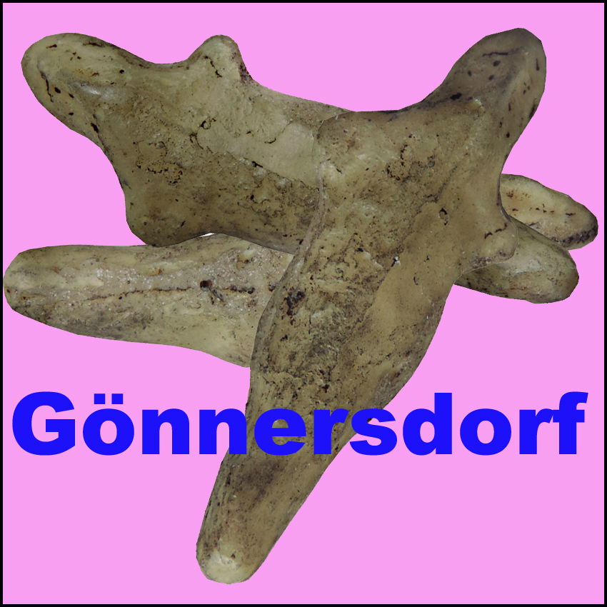 Icona Gonnersdorf