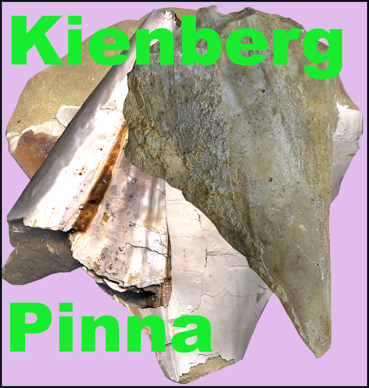 Icona Kienberg Pinna