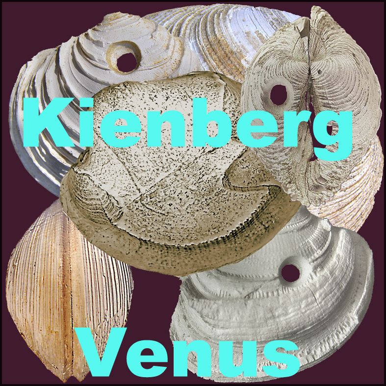 Icona Kienberg Venus