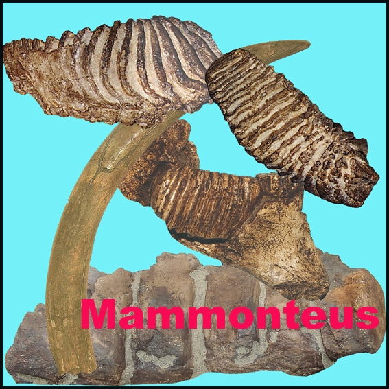 Icona Mammonteus