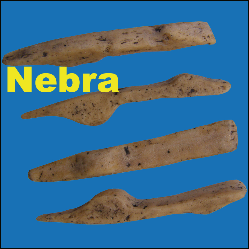 Icona Nebra