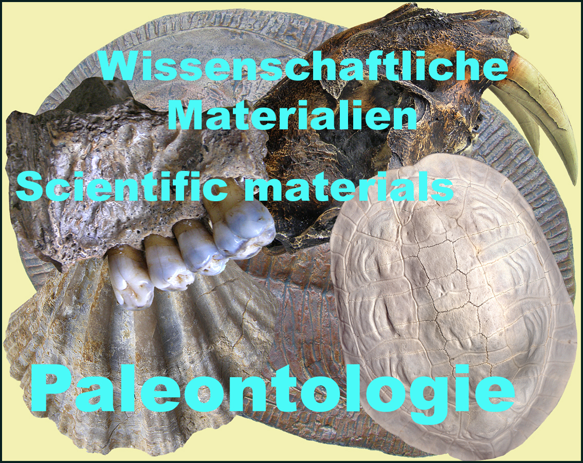 Icona Paleontologie Scientist