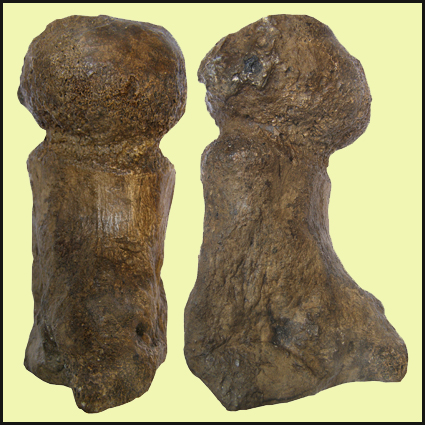 Predmosti Abgusse  Abguss  Casts  Prehistory  Praehistory  Archeology  Archeologie e-Shop  Pleistocen  Prerov