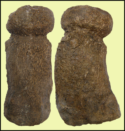 Predmosti Abgusse  Abguss  Casts  Prehistory  Praehistory  Archeology  Archeologie e-Shop  Pleistocen  Prerov