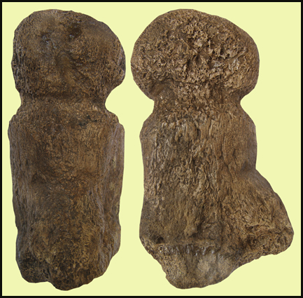 Predmosti Abgusse  Abguss  Casts  Prehistory  Praehistory  Archeology  Archeologie e-Shop  Pleistocen  Prerov