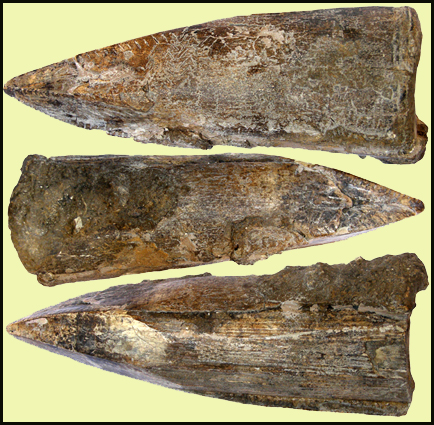 Predmosti Abgusse  Abguss  Casts  Prehistory  Praehistory  Archeology  Archeologie e-Shop  Pleistocen  Prerov