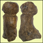 Predmosti Abgusse  Abguss  Casts  Prehistory  Praehistory  Archeology  Archeologie e-Shop  Pleistocen  Prerov