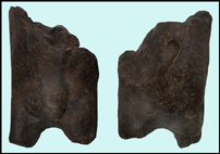 Dolni Vestonice Abgusse  Abguss  Casts  Prehistory  Praehistory  Archeology  Archeologie e-Shop  Pleistocen
