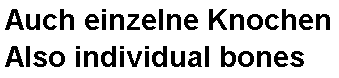 Textov pole: Auch einzelne Knochen 
Also individual bones 